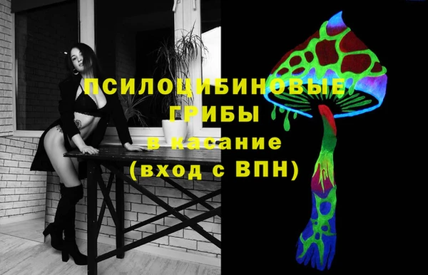 спиды Алексин